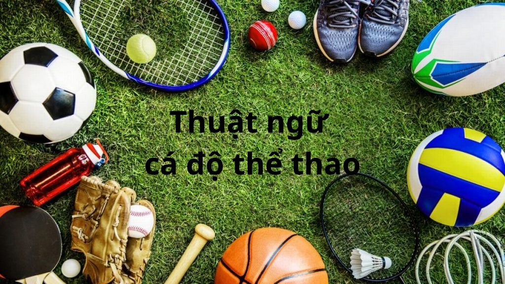 thuật ngữ cá độ thể thao